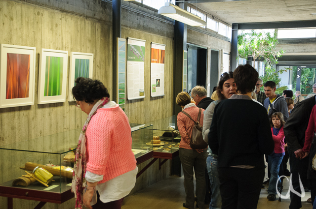 Vernissage Graswelten