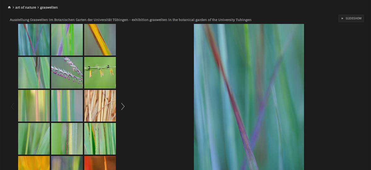 Virtuelle Ausstellung Graswelten im Netz