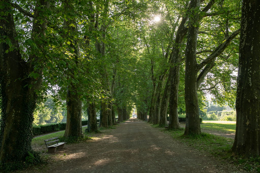 Platanenallee